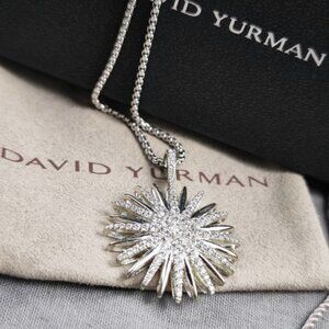 David Yurman necklace